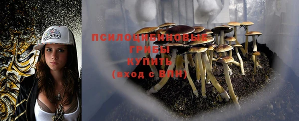 марки lsd Аркадак