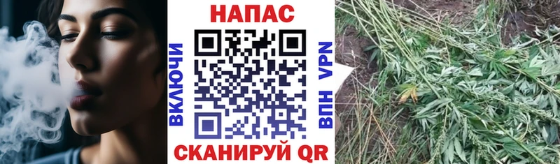 Купить закладки  Сибай  Марихуана планчик 